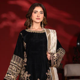 Pakistani Party  Wear Dresses